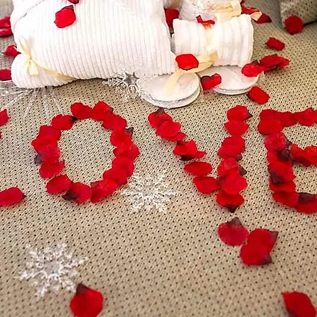 Hotel Butterfly - Il Nido D'amore Bologna *